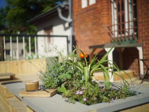 terrasse alte post eberswalde